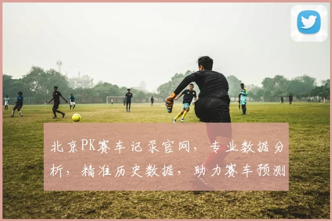 北京PK赛车记录官网，专业数据分析，精准历史数据，助力赛车预测三，逗，一。