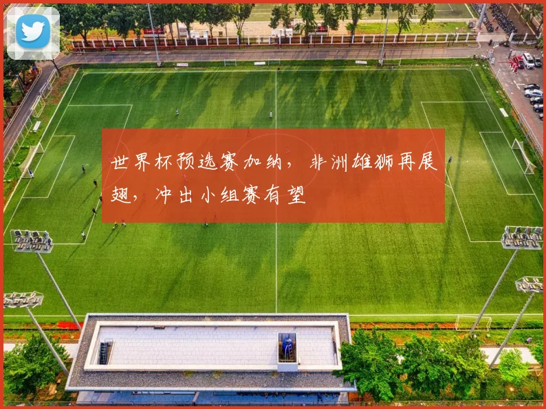 世界杯预选赛加纳，非洲雄狮再展翅，冲出小组赛有望