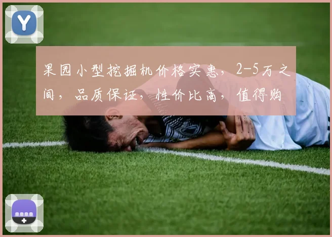 果园小型挖掘机价格实惠，2-5万之间，品质保证，性价比高，值得购买