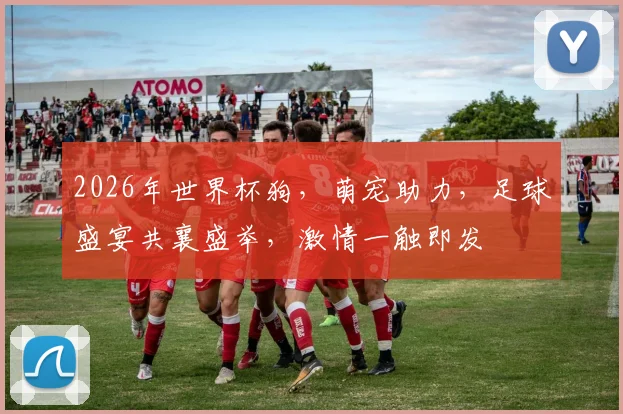 2026年世界杯狗，萌宠助力，足球盛宴共襄盛举，激情一触即发