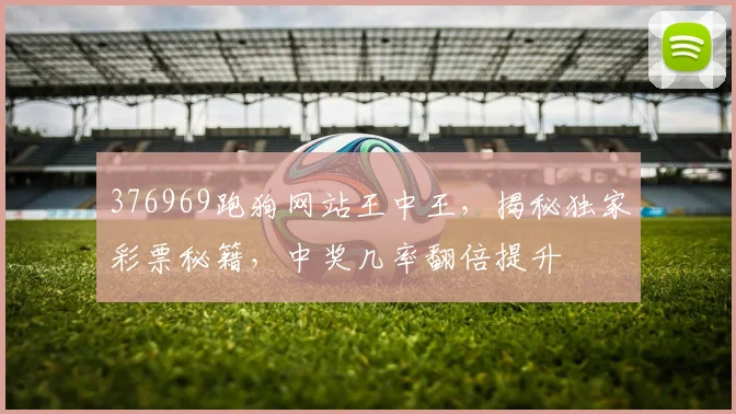 376969跑狗网站王中王，揭秘独家彩票秘籍，中奖几率翻倍提升