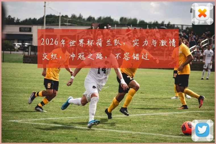 2026年世界杯荷兰队，实力与激情交织，冲冠之路，不容错过